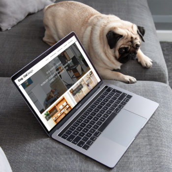 Bienvenue sur le Blog de Dog & Cat Design ! Qu’allez-vous trouver ici ?