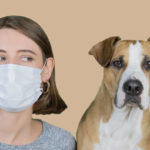 Lire la suite à propos de l’article Coronavirus avec vos chiens et chats : Les bons gestes à adopter durant le confinement