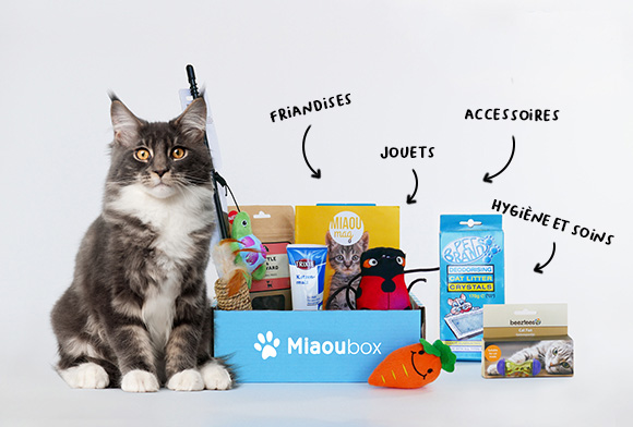miaoubox contenu box pour chat