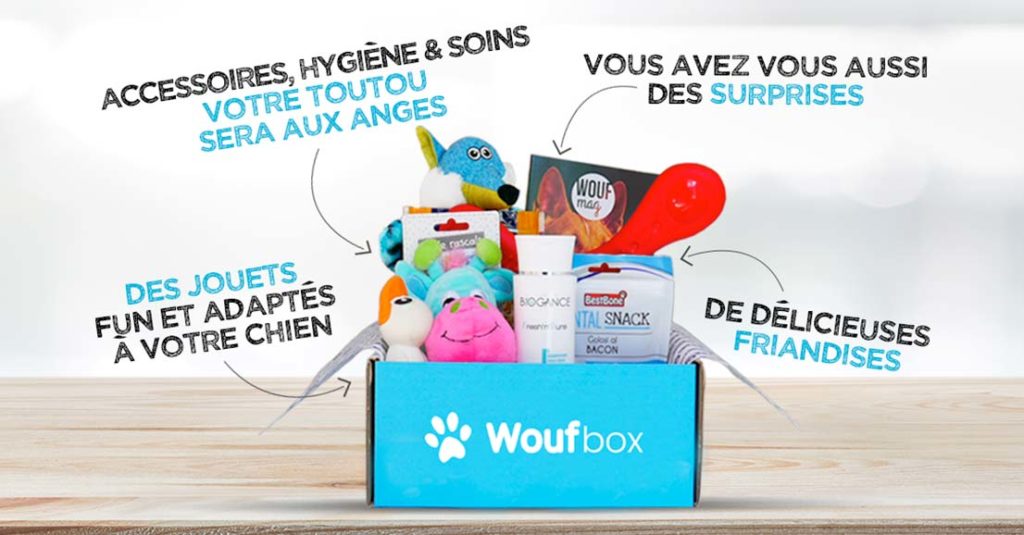 woufbox contenu box pour chien