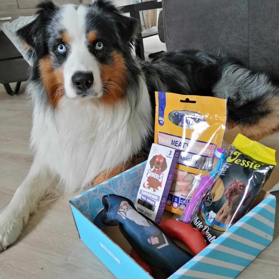 woufbox box pour chiens