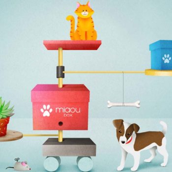 Gâtez vos animaux avec la Woufbox et la Miaoubox