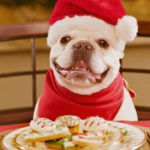 Lire la suite à propos de l’article Des recettes de Noël pour votre chien