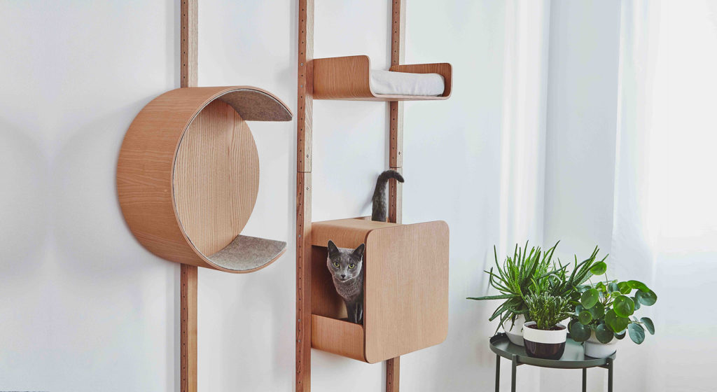 choisir son arbre à chat