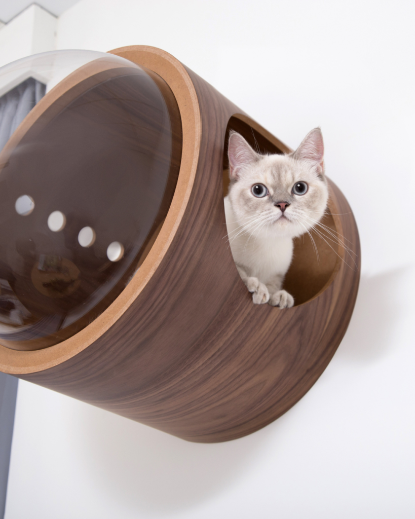 Box Cat cadeau pour votre animal de compagnie boule de poils
